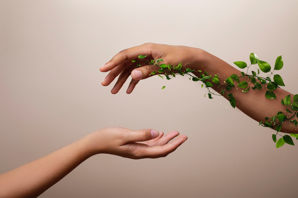 Ayurveda lifestyle concept showing balance and harmony with nature