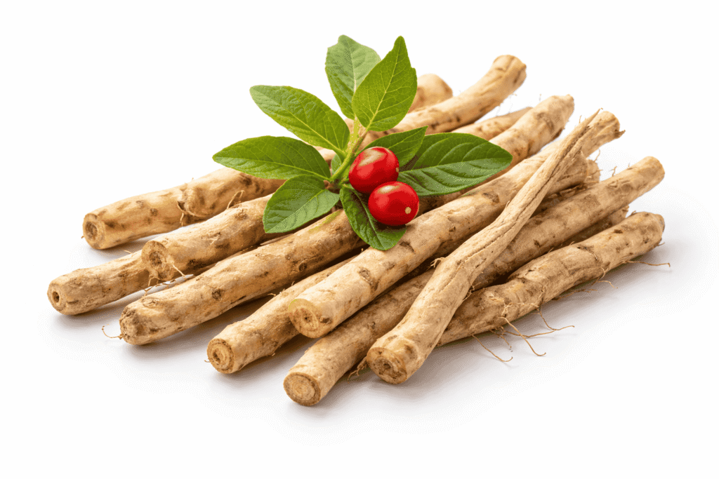 Ashwagandha roots with green leaves and red berries