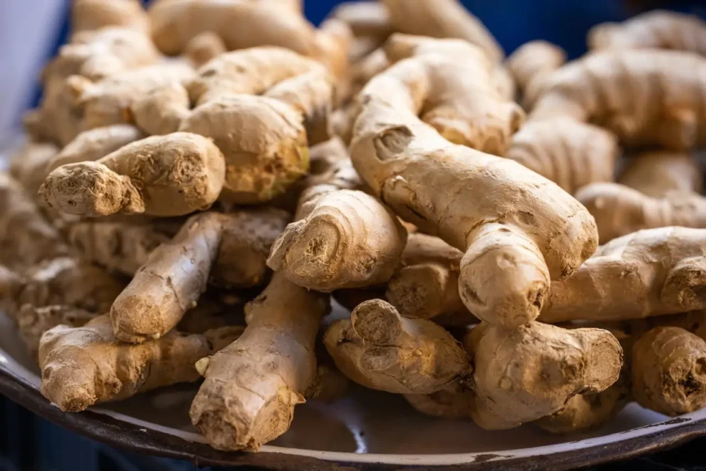 ginger root helps boost metabolism naturally by improving digestion and agni in ayurveda