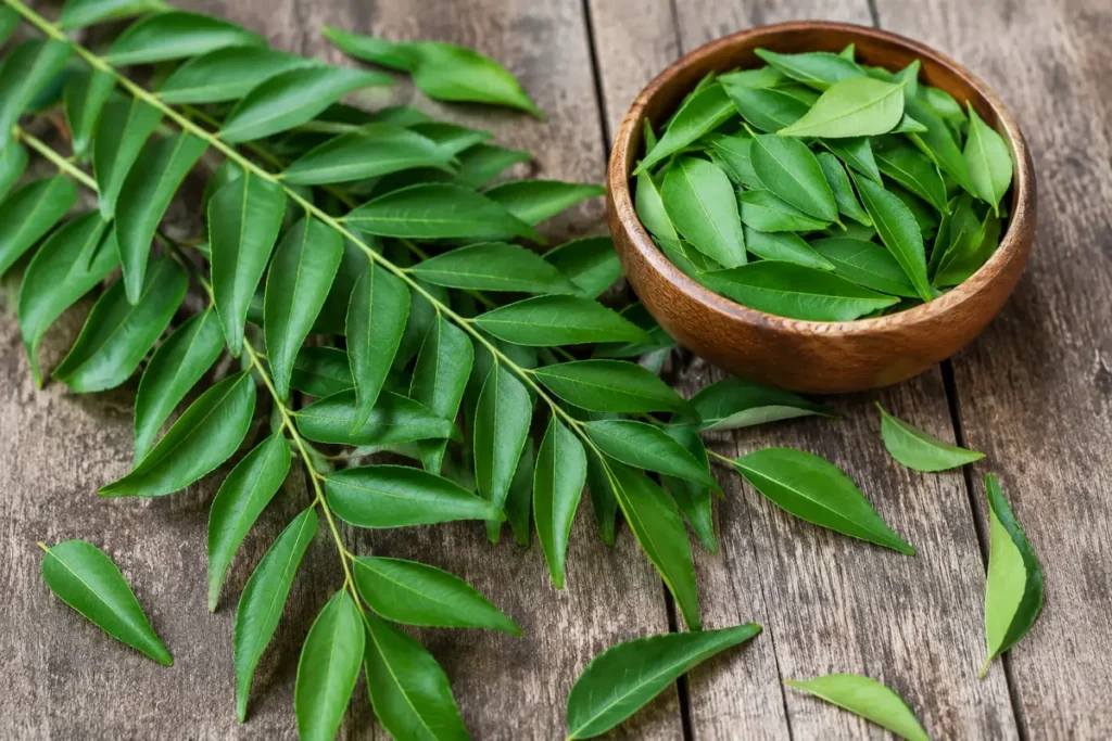 What are curry leaves? Fresh curry leaves (Murraya koenigii) used in Ayurveda for digestion, hair health, and overall wellness.